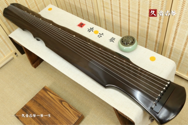 海北藏族自治州初级演奏古琴【伏羲式】