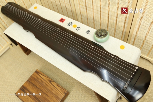 海北藏族自治州初级演奏古琴【灵机式】