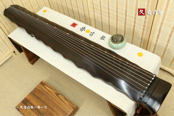 海北藏族自治州初级演奏古琴【落霞式】