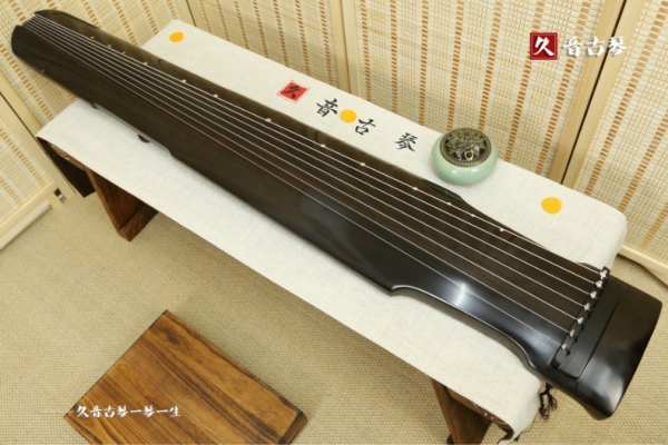 海北藏族自治州初级演奏古琴【仲尼式】